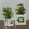Go Green Personalized Planter Pot Set Online