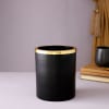 Gift Gold And Black Metal Planter With Fittonia Plant