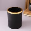 Buy Gold And Black Metal Planter With Fittonia Plant