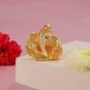 Gift Gold Plated Puja Thali with Ganesha Idol and Puja Kit