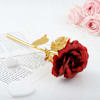 Buy Golden Rose Day Hamper