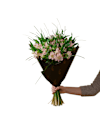 Gorgeous Pink Alstromeria 242634 Online