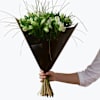 Gorgeous White Alstromeria 242674 Online
