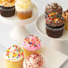 Gift Gourmet Cupcake Favorites