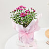 Gift Graceful Chrysanthemum And Pink Wrap Planter