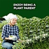 Buy Green Goodness Peas Grow Kit