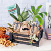 Green & Hearty Hamper for Dad Online