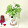 Buy Green Love Syngonium with a Personalized Vase