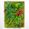 Green Wall with Frame 1 Online