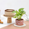 Greenery And Chocolate Cake Gift Combo Online
