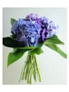 Hand Tied Online