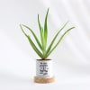 Shop Happily Ever After - Aloe Vera Plant With Pot - Personalized