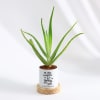 Happily Ever After - Aloe Vera Plant With Pot - Personalized Online