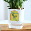 Gift Happy Birthday Peace Lily Plant in Self-Watering Planter