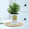 Buy Happy Birthday Plant Lady Jade Plant With Self-Watering Pot