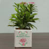 Buy Happy Mother's Day Personalized Planters (Set of 2)
