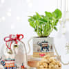 Shop Harmony & Happiness Diwali Hamper