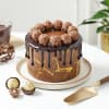 Hazelnut Fantasy Chocolate Cake (500 Gm) Online