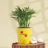 Gift Heart Bamboo Palm Plant
