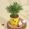 Buy Heart Bamboo Palm Plant