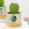 Buy Heartfelt Valentine's Day Hoya Plants With Planters