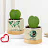 Heartfelt Valentine's Day Hoya Plants With Planters Online