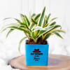 Hero Father Blue Ceramic Planter With Plant Online