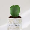 Gift Hoya Heart Plant With Pot - Personalized