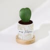 Shop Hoya Heart Plant With Pot - Personalized
