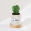 Hoya Heart Plant With Pot - Personalized Online