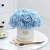 Shop Hydrangea Blooms With Personalized Caricature