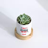 Buy I'm A Succa For You - Echeveria Succulent With Personalized Planter