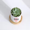 Shop I'm A Succa For You - Echeveria Succulent With Personalized Planter