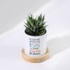 Buy I'm Sorry - Haworthia Succulent With Personalized Pot