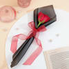 IGP Eternal Passion Single Red Rose Online