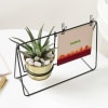 Shop Independence Day Personalized Swinging Metal Planter