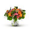 Indian summer Online