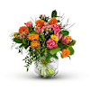 Indian summer Online