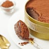 Shop Indulgent Choco Dream Cake