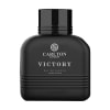 Irresistible Victory EDP For Men - 100 ML Online