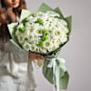 Ivory Dreams Online