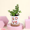 Jade Plant  In a Personalized Red Heart Pot Online