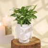 Gift Jade Plant in Ceramic Planter and Syngonium Plant in a Metal Planter