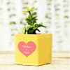 Gift Jade Plant in Cute Personalized Ceramic Pot for Couples