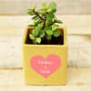 Buy Jade Plant in Cute Personalized Ceramic Pot for Couples