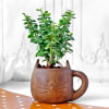 Jade Plant in Feline Ceramic Planter Online