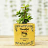 Jade Plant in She's My Mom Personalized Planter Online