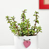 Buy Jade Plant With Heart Planter