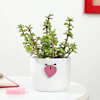 Jade Plant With Heart Planter Online