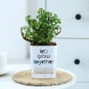 Gift Jade Plant With Self-Watering Planter